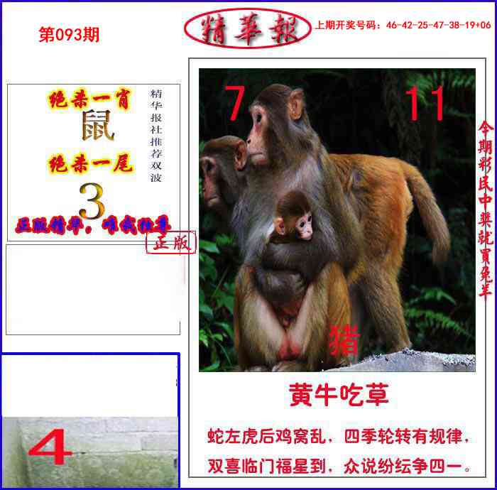 093期新精华报报[图]